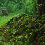 Agroturystyczne Papiernia Niedźwiedź
