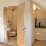 Agroturystyczne Papiernia Grill, Sauna & Jacuzzi 아파트 Niedźwiedź