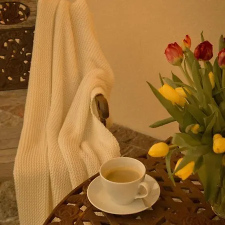 Agroturystyczne Papiernia Dla 2 Osob Gorce, Sauna I Jacuzzi Apartment *