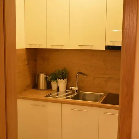 Agroturystyczne Papiernia Dla 2 Osob Gorce, Sauna I Jacuzzi Appartement