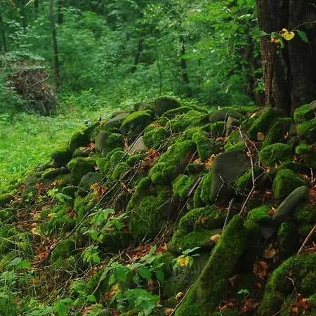 Agroturystyczne Papiernia Dla 2 Osob Gorce, Sauna I Jacuzzi Niedźwiedź