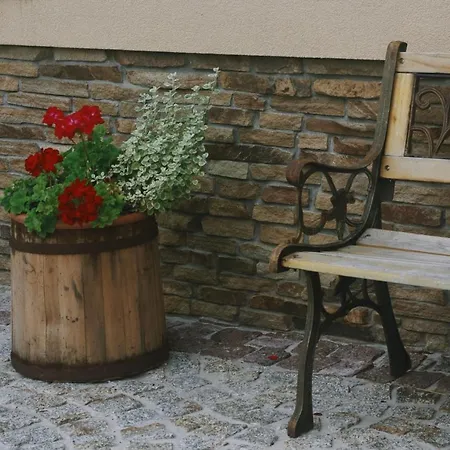 Agroturystyczne Papiernia Apartment *