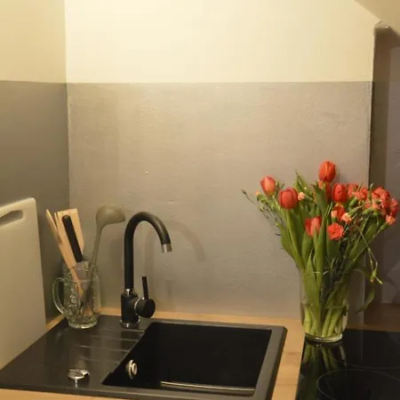 Appartement Agroturystyczne Papiernia Dla 2 Osob Gorce, Sauna I Jacuzzi