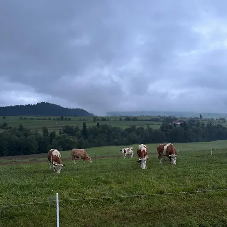 Agroturystyczne Papiernia * Niedzwiedz
