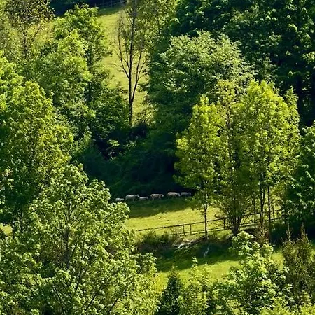 Agroturystyczne Papiernia Dla 2 Osob Gorce, Sauna I Jacuzzi *